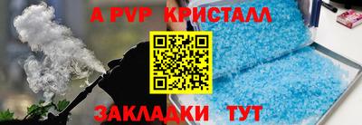индика Гусев