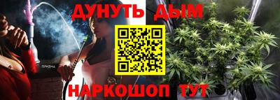 индика Гусев