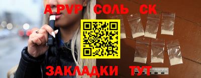 индика Гусев