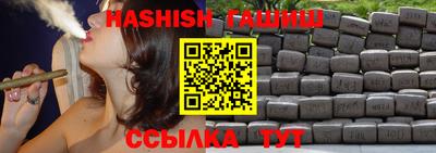 индика Гусев